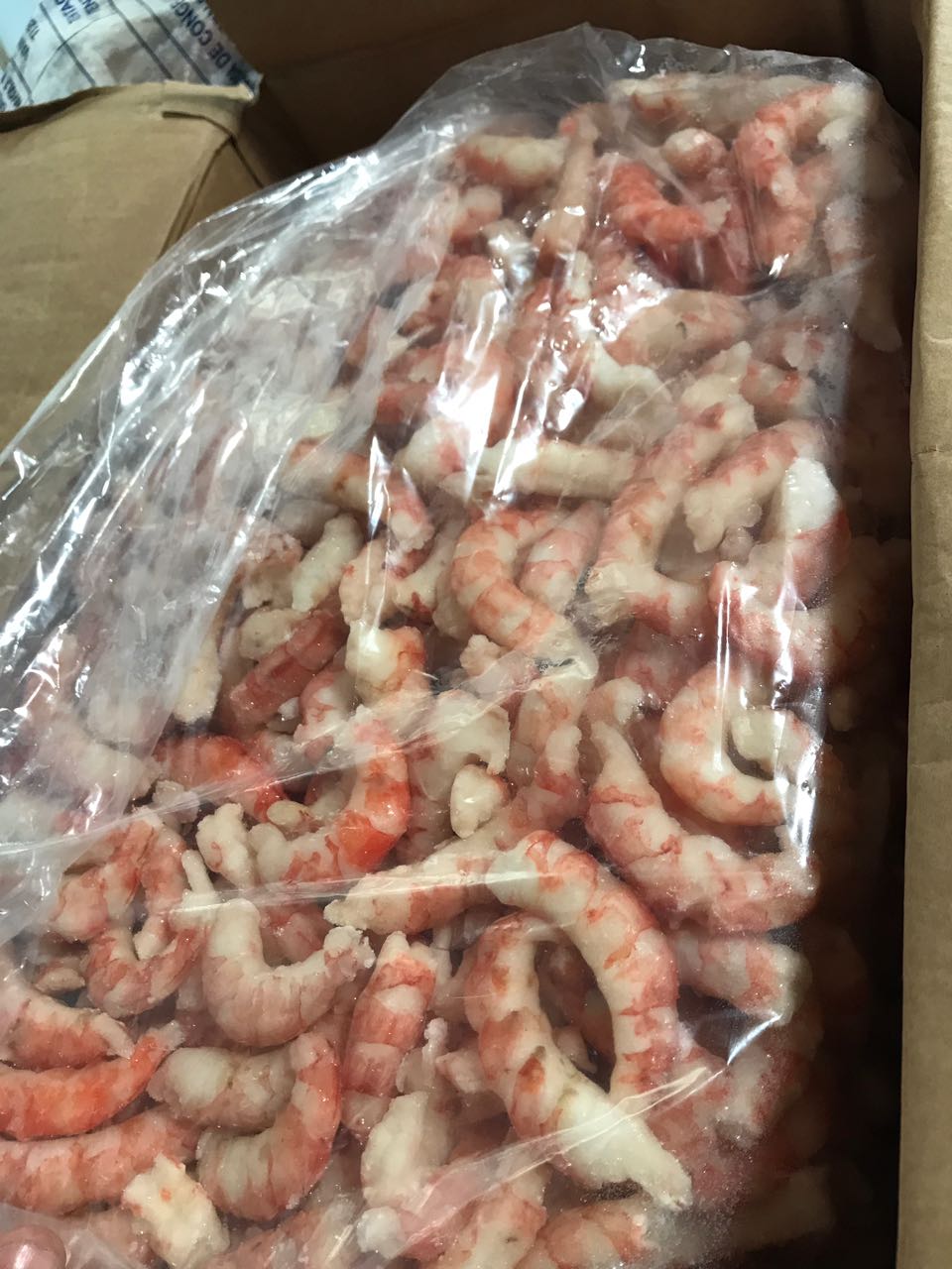Argentine Red Shrimp